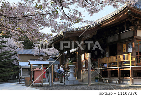 四国霊場第67番札所「大興寺」本堂前のお遍路さんと桜 四国霊場第67番札所「大興寺」本堂前のお遍路さんと桜 11107370