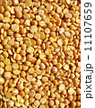 Pea Texture 11107659