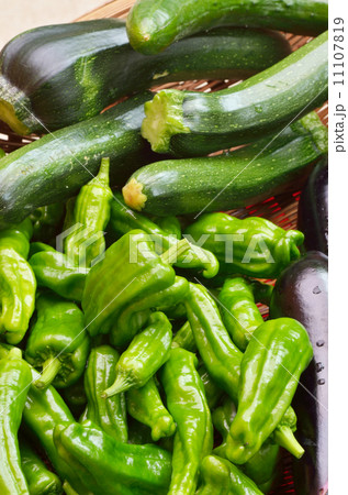 夏野菜 11107819