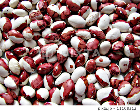 Colored Beans Texture 11108312