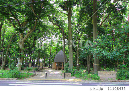 三井の森公園 11108435