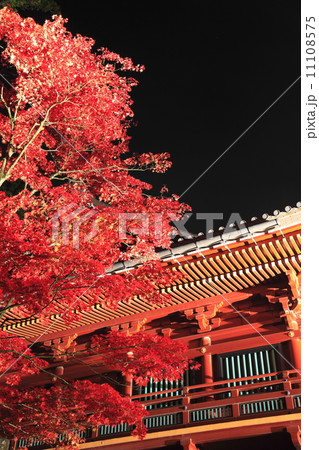紅葉と三仏堂 紅葉と三仏堂 11108575