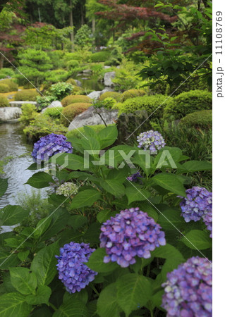 三室戸寺庭園 三室戸寺庭園 11108769