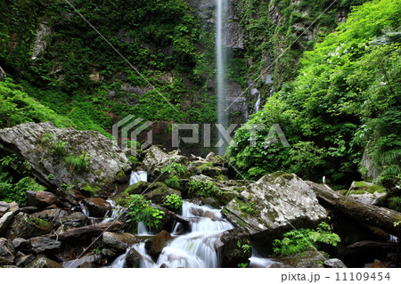 霧ヶ滝 11109454