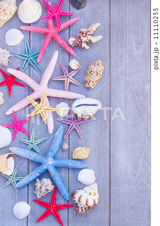 starfish and sea shells on wooden board starfish and sea shells on wooden board 11110255