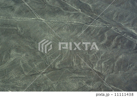 ナスカの地上絵・サル ナスカの地上絵・サル 11111438