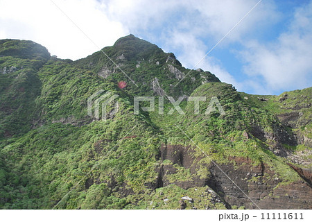 御蔵島の山 御蔵島の山 11111611