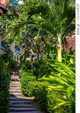 View on resort stairs from one side with palm and sky. Koh Phangan View on resort stairs from one side with palm and sky. Koh Phangan 11111614