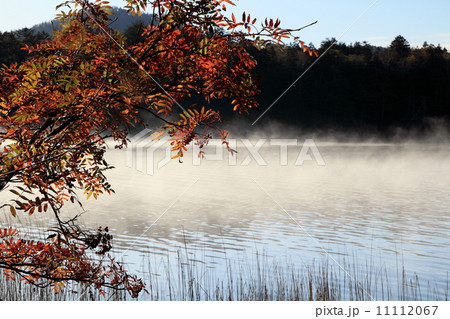 朝もや立つ尾瀬沼とナナカマドの紅葉 朝もや立つ尾瀬沼とナナカマドの紅葉 11112067