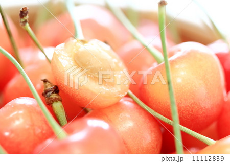 さくらんぼ 11112839