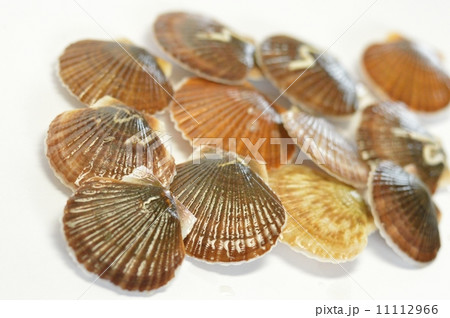 ほたて貝 ほたて貝 11112966