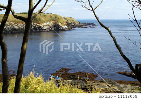 三浦半島　城ヶ島　赤羽根海岸の風景 11113059