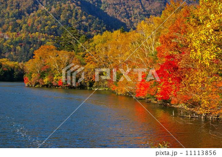 紅葉の湯ノ湖 11113856