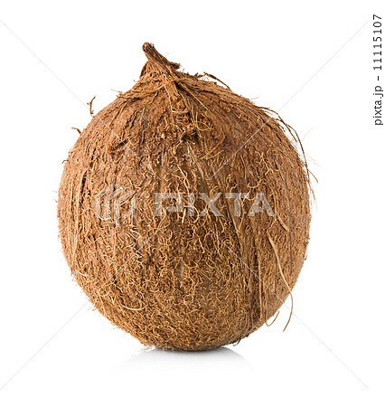 Coconut isolated on white 11115107