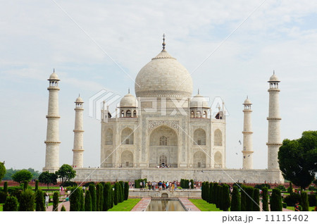 タージマハル 11115402