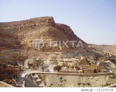 シェニニ 11115519