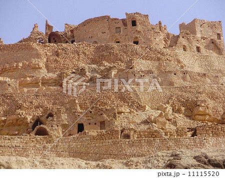 シェニニ 11115520