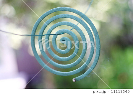 庭仕事のために木陰に吊るした蚊取り線香 11115549