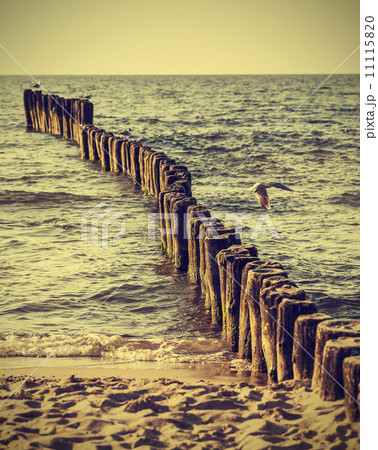 Wood pilings on beach, vintage retro instagram effect. 11115820