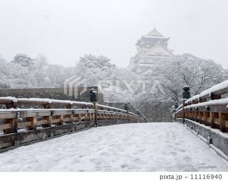 雪　大阪城 11116940