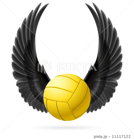 Fluing ball Fluing ball 11117122