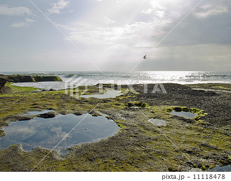 Rocky coast 11118478