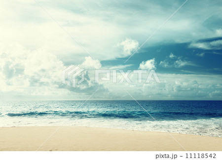 tropical beach 11118542