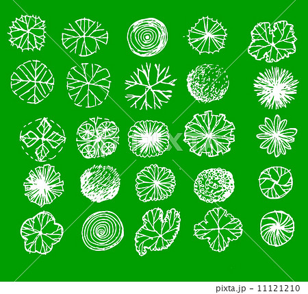 Trees top view for architecture landscape design projects Trees top view for architecture landscape design projects 11121210