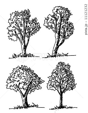Set of trees with leaves 11121232