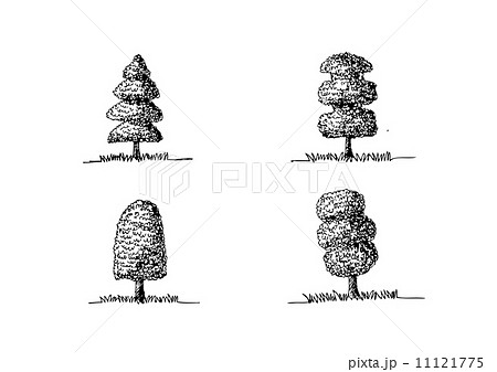 Set of trees with leaves Set of trees with leaves 11121775