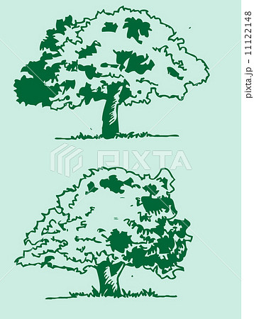 Set of trees with leaves Set of trees with leaves 11122148