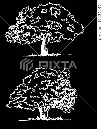 Set of trees with leaves Set of trees with leaves 11122149