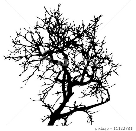 Set of trees with leaves 11122731