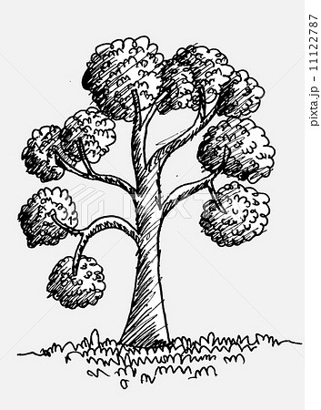 Set of trees with leaves Set of trees with leaves 11122787