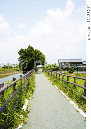 秋篠川遊歩道 11123214