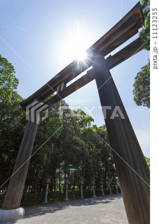 橿原神宮参道の鳥居 11123255