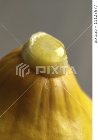 コリンキー  コリンキー  11123677