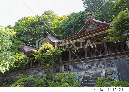 吉野水分神社の本殿 11124214