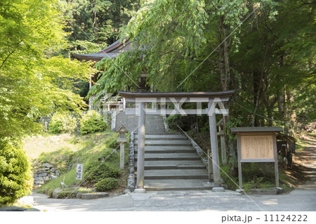 金峯神社の拝殿と鳥居 11124222