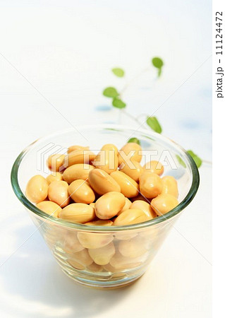 大豆の水煮 大豆の水煮 11124472