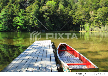 新緑の上高地 11124493