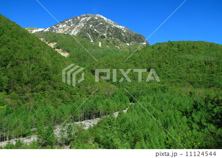 新緑の上高地 11124544