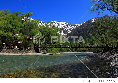 新緑の上高地 11124545