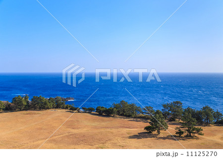 潮岬・望楼の芝 潮岬・望楼の芝 11125270