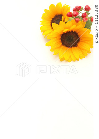 ひまわり ヒマワリ フラワーアレンジメント アレンジメント ヒペリカム 赤い実 花 植物 夏 の写真素材