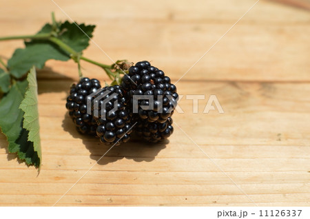 ブラックベリー 11126337