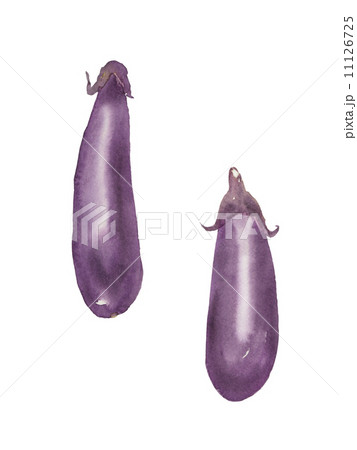なす　水彩イラスト 11126725