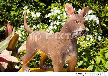 dog zodiac. dog zodiac. 11127156