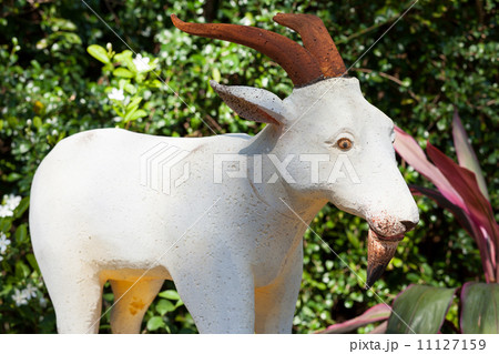 goat zodiac. 11127159