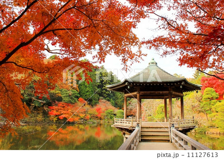 秋の成田山公園 11127613